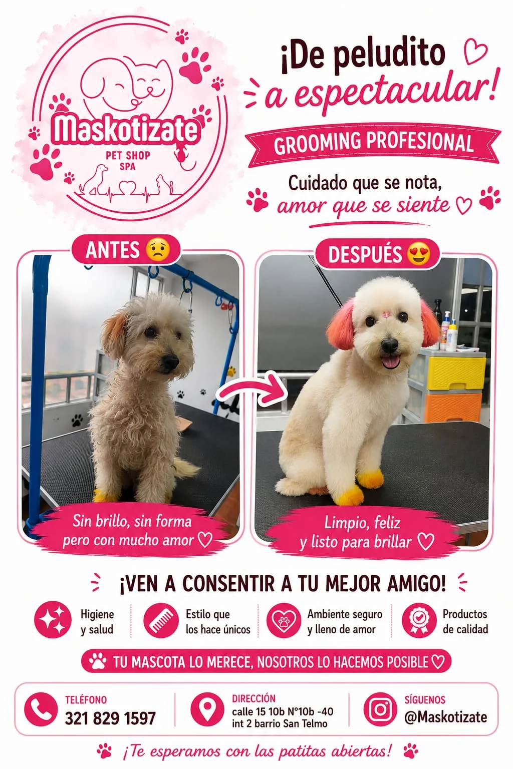 Transformación Maskotízate