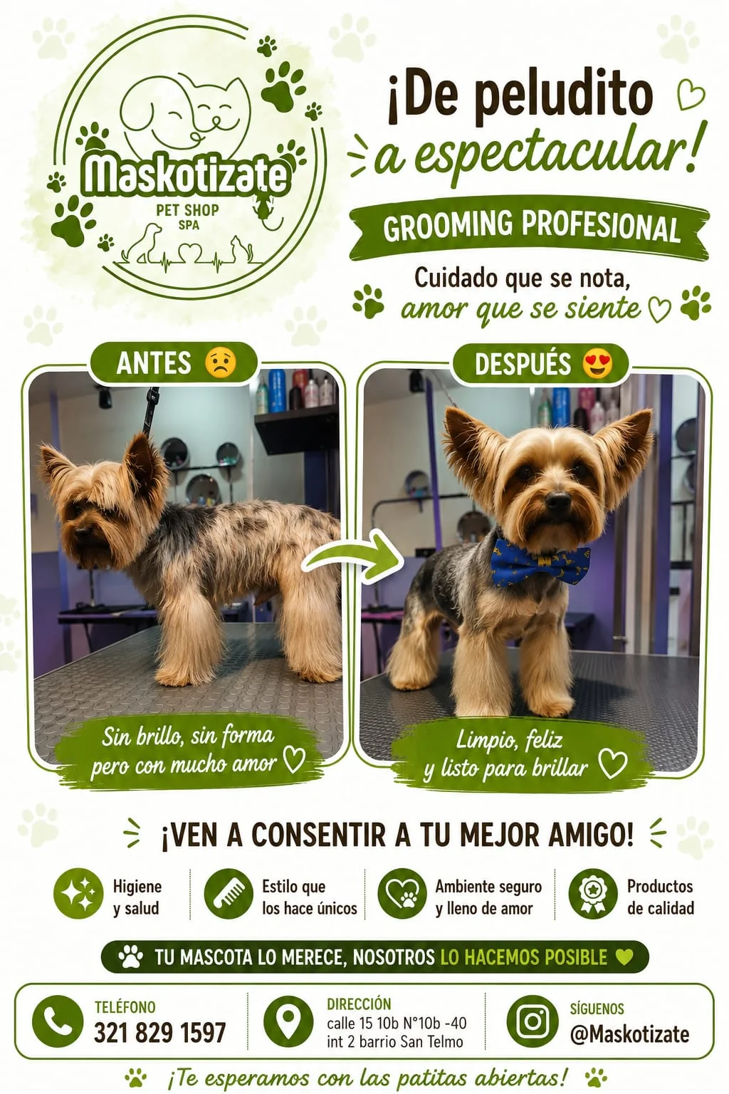 Antes y después realizado por Maskotízate Pet Shop Spa
