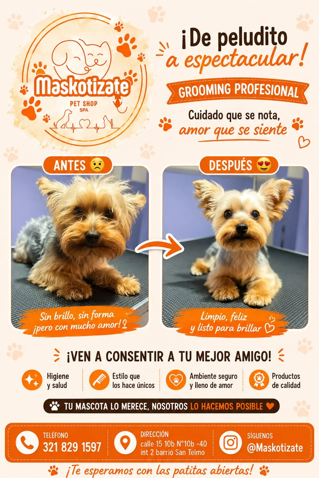 Grooming profesional realizado por Maskotízate Pet Shop Spa