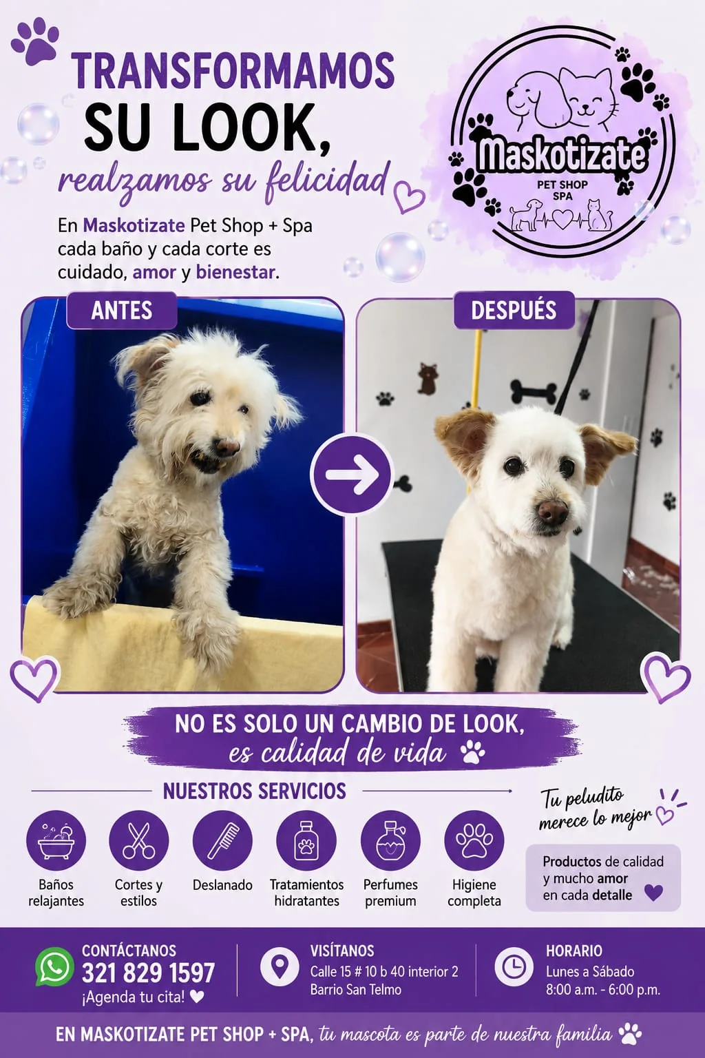 Antes y después realizado por Maskotízate Pet Shop Spa