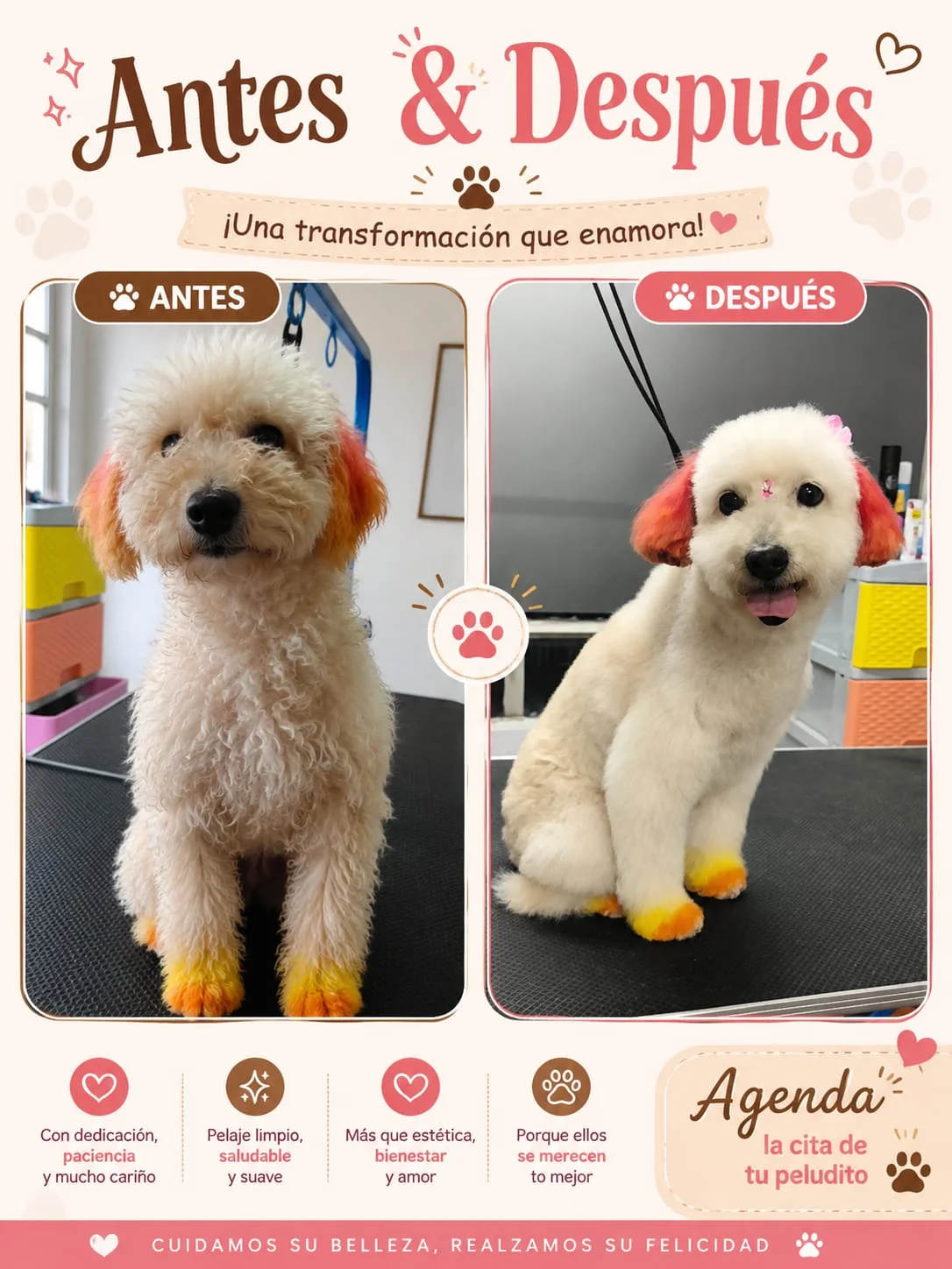 Antes y después realizado por Maskotízate Pet Shop Spa
